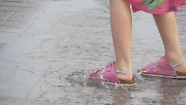Una chica vestida con sandalias rosadas atravesando los charcos . — Vídeos de Stock