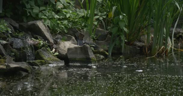 15,125 Smooth water flow Videos, lizenzfreies Stock Smooth water flow