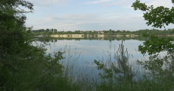 Teich, See, glatter Fluss, grüne Bäume und Gebäude am gegenüberliegenden Ufer, Bäume — Stockvideo