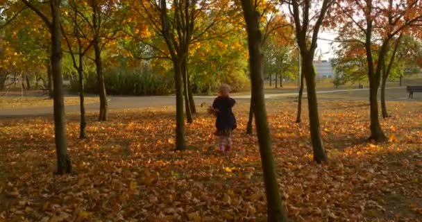 Fille choisit les feuilles pour son bouquet ramasse à partir du sol Petite fille avec tresse blonde dans le béret Foulard rouge et veste marche dans le parc 