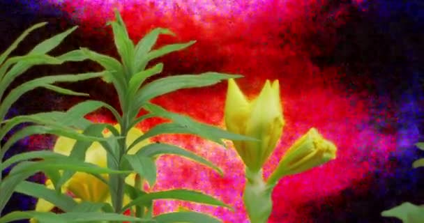 Gelbe Iris Blume Pflanzen Graszweige — Stockvideo