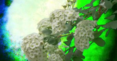 Çiçekleri kiraz yeşil bitkilerin dalları yaprakları