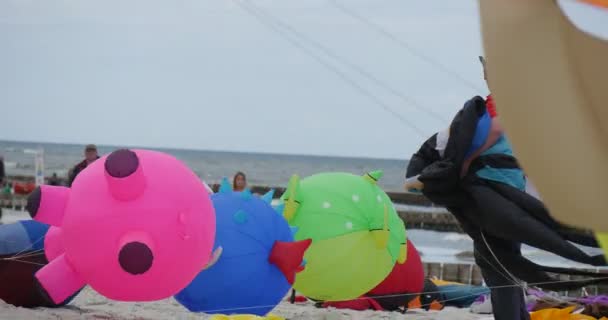 Animais Air Swimmers - Pessoas preparando seus papagaios e nadadores de ar ou voando-os no festival internacional de pipa em Leba, Polônia . — Vídeo de Stock