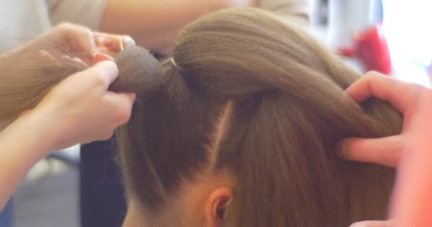 Cabeleireiro estilista está fazendo o penteado Fixando os cabelos em três caudas de cavalo Mulher com cabelos longos Barbearia Cabeleireiro Salão de beleza — Vídeo de Stock