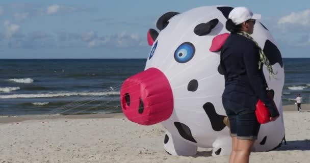 Een koe helpen om te vliegen-mensen die hun vliegers en lucht zwemmers voorbereiden of ze vliegen op het internationale vliegerfestival in Leba, Polen. — Stockvideo