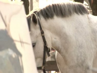 Takım elbiseli bir adam at çizer