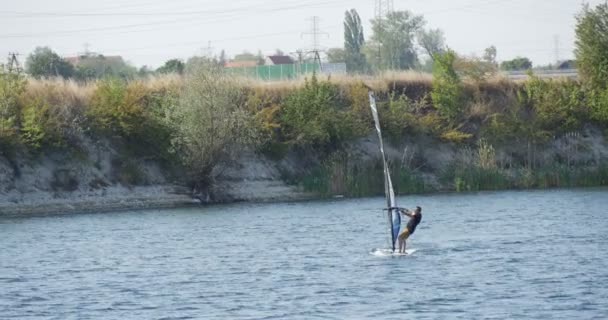 Man op de windsurf Board met zeil is drijvend snel door waterige oppervlakte langs Sandy Bank man is in Windsurf kostuum rivier groene bomen kleine golven hemel — Stockvideo