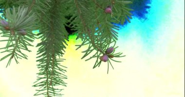 Çam kozalakları dalları bitkilerle köknar ağacı