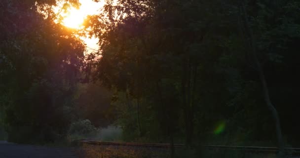 Orange, gula solnedgången, solens cirkel bakom träden, järnväg — Stockvideo