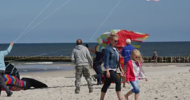 Olika drakar på en enda sträng-människor förbereder sina drakar och luft simmare eller flyga dem på den internationella kite Festival i Leba, Polen. — Stockvideo