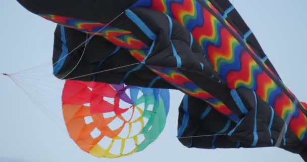 Peixes negros e papagaios parecidos com paraquedas - papagaios e nadadores de ar de todos os tipos e formas no festival internacional de pipa em Leba, Polônia . — Vídeo de Stock