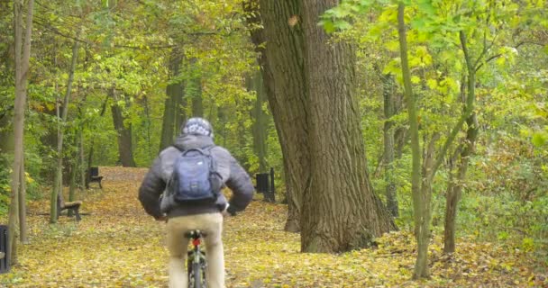 Człowiek w Ushanka kapelusz z futro ucha klapy ciepłe kurtki człowiek z plecaka jest jazda rowerem przez Park Alley jesienią upadłych liści pustych ławek — Wideo stockowe