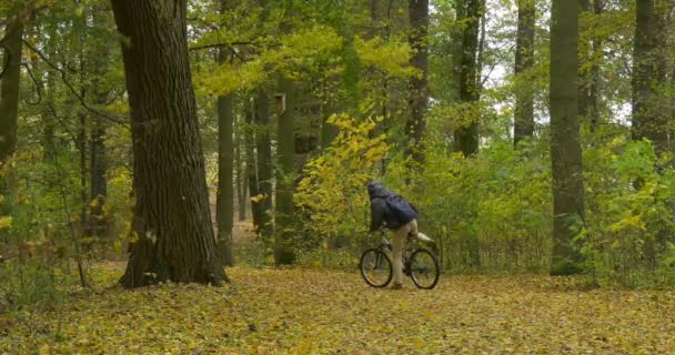 Человек в шляпе Ушанки с меховыми ушами Теплый пиджак с рюкзаком едет на велосипеде по парку Лес осенью Слез с велосипеда стоял под деревом — стоковое видео