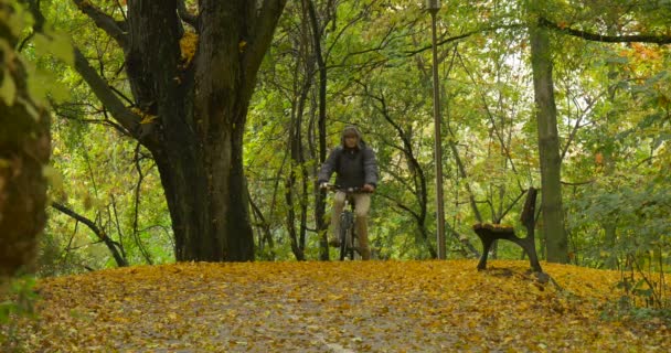 Uomo in caldo cappello Ushanka con pelo paraorecchie sta cavalcando la bicicletta fino alla collina e discesa lungo panchina vuota sotto vecchio albero autunno foglie gialle — Video Stock