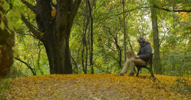 Man in Warm Ushanka Hat With Fur Ear Flaps is Working with Laptop Sitting on the Bench Freelancer Programador Designer Contabilista Outono Folhas caídas — Vídeo de Stock