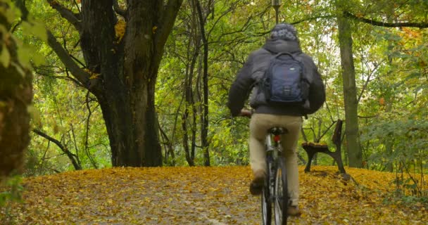 Homem com chapéu de Ushanka quente com pêlo orelha Flaps homem de bicicleta a distância até a colina e a descida ao longo do banco vazio sob uma velha árvore de folhas amarelas outono — Vídeo de Stock