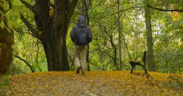 Man in Warm Ushanka Hat With Fur Ear Flaps is Running Up the Hill by Park Alley Sits to the Bench under the Old Tree Autunno Foglie Gialle Cadute — Video Stock