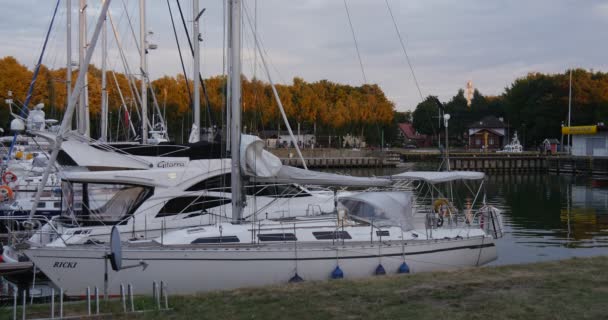 Vita båtar läggs upp Yacht Club Port hamnen lugn klart vatten grönt gräs på Shore piren i avstånd täta gröna träden på bakgrunden solnedgången — Stockvideo