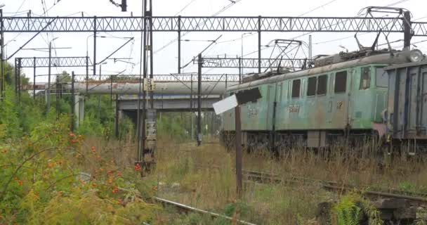 La locomotiva da carico elettrica verde tira il treno merci lungo I carri merci grigi e blu supportano il ponte di rete di contatto ferroviario — Video Stock