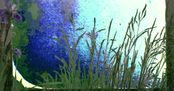 Fine Tall Grass Green Plants laisse des fleurs — Video