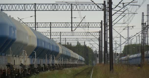 Dwóch pociągów towarowych stanąć na kontakt z sieci kolejowej elektryczna kolej szyny suchej trawy pochmurny dzień jesieni szare niebo deszczem Opole Polska — Wideo stockowe