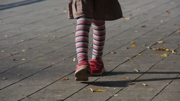 Petite fille aux cheveux blonds et au chemisier bleu marche les jambes Fermer Inclinez-vous Levant les mains et allant lancer le Ball Park Automne Extérieur Mouvement lent — Video