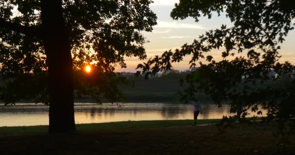 Due persone coppia uomo e donna sono pattinaggio a rotelle persone sagome fiume banca tramonto sole dietro gli alberi 'sagome prato lungo il tramonto stagno — Video Stock