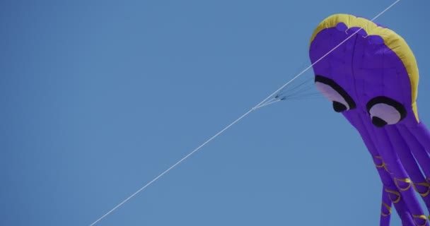 En bläckfisk luft simmare - drakar och luft simmare av alla typer och former på den internationella kite festivalen i Łeba, Poland. — Stockvideo