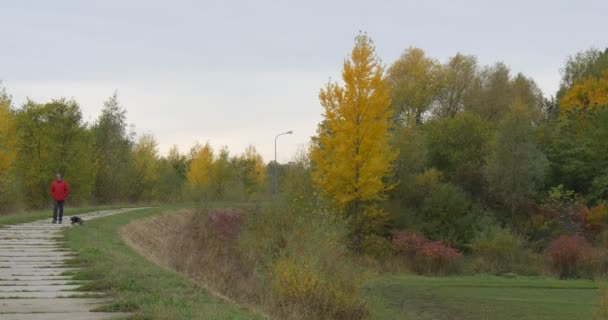 Kırmızı ceketli adamı yürüyüş ile köpek patika Park veya orman yol açar köpek çalışan yeşil ve sarı ağaçlar bulutlu gün gökyüzü sonbahar açık havada olduğunu — Stok video