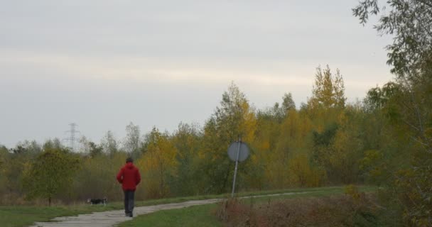 Mann in roter Jacke läuft mit Hund Fußweg in Park oder Waldweg dreht Verkehrsschild grüne und gelbe Bäume bewölkten Tag Himmel Herbst im Freien — Stockvideo