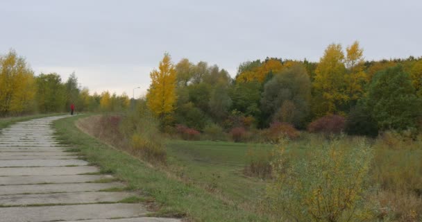 Hombre en chaqueta roja es caminar con perro sendero parque o bosque carretera vueltas perro es correr árboles verdes y amarillos nublado día cielo otoño al aire libre — Vídeo de stock