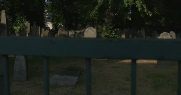 Pierre fissurée Fermer Vieilles pierres tombales au cimetière Lieu de sépulture Tombes catholiques parmi l'herbe verte Rayons de soleil sur une pierre envahie Arbres verts — Video