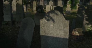 Mezarlık MezarYeri Katolik Mezarlar Yeşil Çim Güneş ışınları arasında Bir Overgrown Taşlar Yeşil Ağaçlar Panorama Dark Old Tombstones
