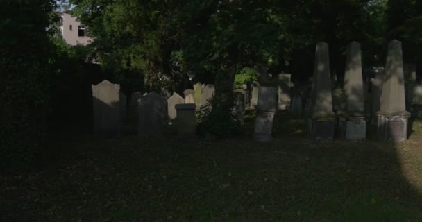 Обеліски позаду гілки дерев листя старі надгробків на кладовищі місце поховання католицьких могили серед зелена трава сонячних променів на зарослих каменів — стокове відео