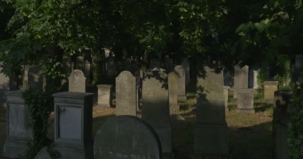 Panorama Tumbas antiguas en el cementerio sepultura izquierda y derecha Tumbas católicas entre hierba verde Rayos de sol sobre piedras cubiertas Árboles verdes — Vídeo de stock