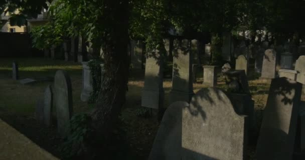 Alte Grabsteine am Friedhofspanorama hinter Blättern vergrößern Grabstätte katholischer Gräber zwischen grünen Grassonnenstrahlen auf einem zugewachsenen Steinbäumchen — Stockvideo