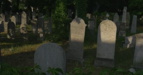 Tumbas antiguas en el cementerio Hojas verdes de uvas silvestres Close Up Entierro Lugar Tumbas católicas entre los rayos de sol de hierba verde en unas piedras cubiertas — Vídeo de stock