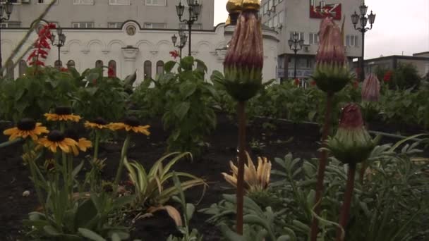 Flores de cerca y lugar frente a los edificios blancos de una iglesia del templo en el territorio de la planta metalúrgica en la mina de carbón Donetsk Día nublado — Vídeo de stock