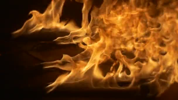 Rozmazat požár uzavřít ohnivé pochodně potřebné rekvizity taneční Trupe po požáru v plamenové show v Opólu Polsko večerní noc — Stock video
