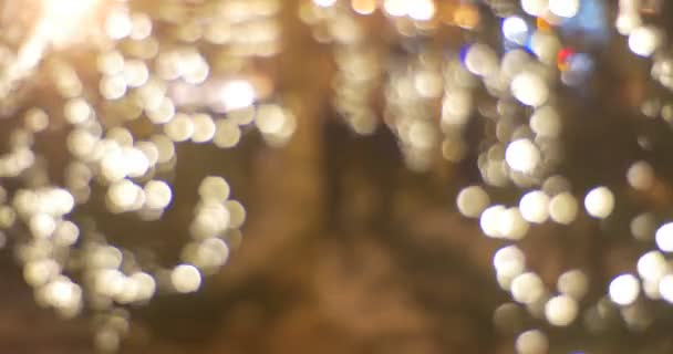 ソフィア広場パノラマ新年のお祝いキエフ ウクライナでモミの木のモミの木照らされた正方形人散歩にぼやけライト花輪 — ストック動画