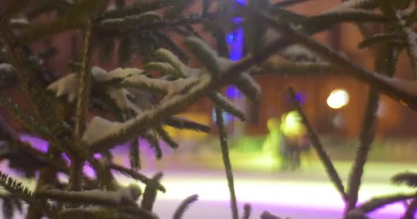 Groupe Et Les Personnes Isolées Patinent Sur La Place Sur La Patinoire Lumières Bleues Et Jaunes Ville Illuminée Des Personnes Floues Vue de derrière un Firs Nouvel An Kiev — Video