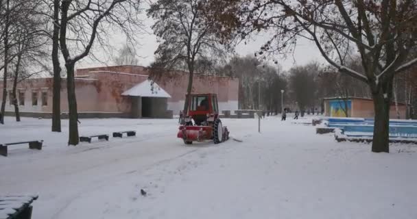 Homem está andando carregando seu filho em seu pescoço Bulldozer trator vermelho está limpando um beco do parque remove o parque central de neve de Konotop ramos nus árvores — Vídeo de Stock