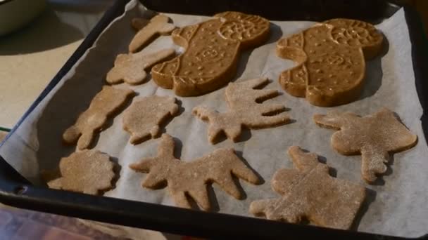 Сырые печенье на сковороде для выпечки на пергаменте Бумага в форме барана Ангела форме рождественские печенья семья делает печенье печенье на своей кухне — стоковое видео