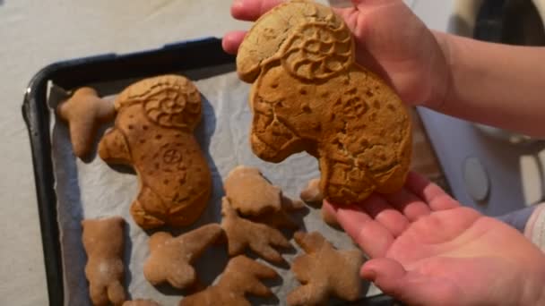 Las manos femeninas sostienen una galleta en forma de carnero Galletas horneadas colocadas en una bandeja para hornear con un pergamino en un fondo Galletas Regalos de Navidad caseros — Vídeos de Stock