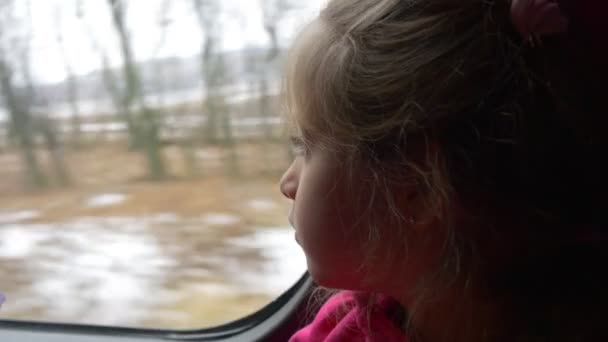 Kislány látszó keresztül egy ablak a busz gyorsan hajtott busz nézi a fagyos területen, és a csupasz ágak ül az ő arcát csendes táj — Stock videók
