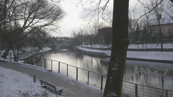 공원 골목 슬로우 모션 파노라마 벤치 겨울 해안가 에 강 조용한 지역 도시의 키가 큰 나무 옆에 작은 강 건물 눈 — 비디오