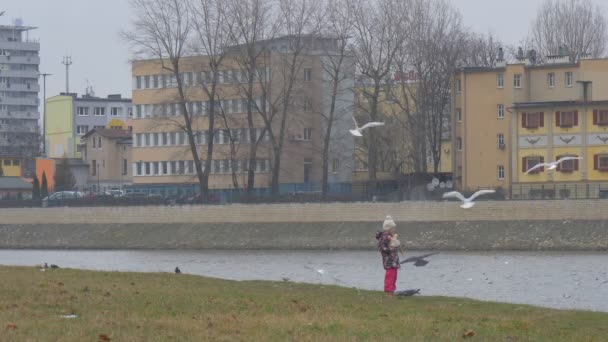 Ребенок держит хлеб, стоящий на берегу реки Маленькая девочка кормит птиц Чайки Голуби летают на реке в зданиях города — стоковое видео