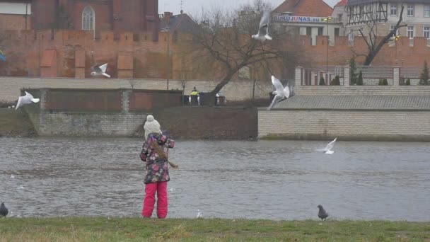 Дитина Thrown хліб повільному стоять біля річки Старого міста на протилежному боці маленька дівчинка годує на птахів чайок голуби летять в річки будівель — стокове відео