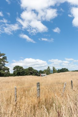 Altın alan kuru ot uzun boylu gr tarafından çevrili küçük eski ev