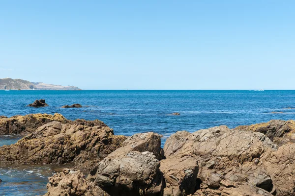 Rotsachtige vooroevers op Breaker Bay bij ingang van Wellington Harbo — Stockfoto